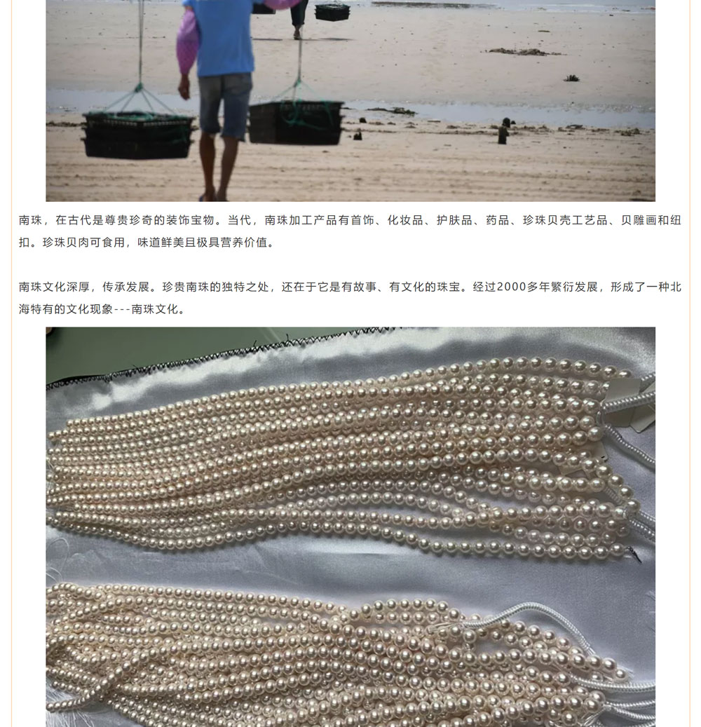 古老南珠，綻放異彩